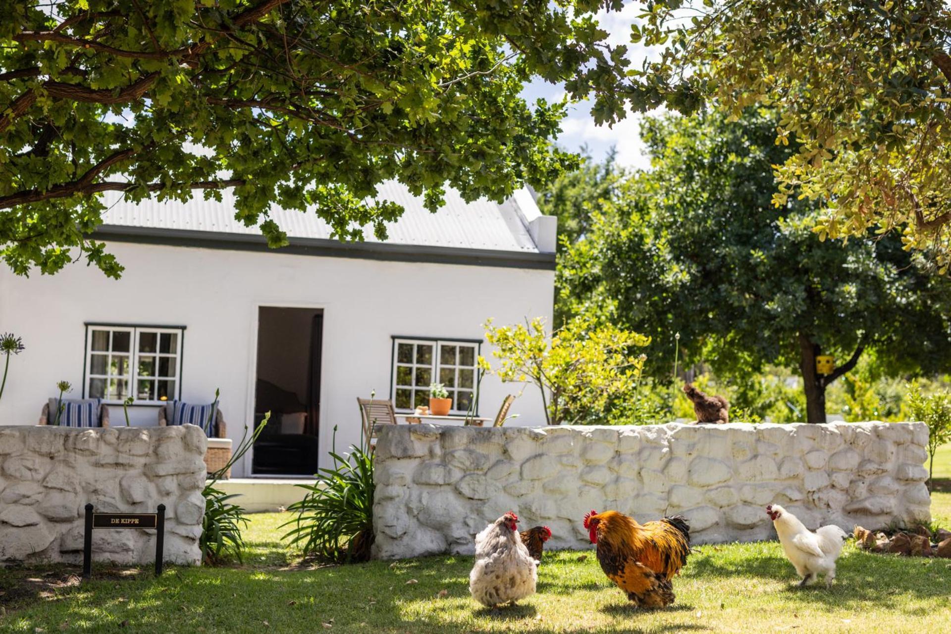 Apartamento Eikehof Farm Worcester Exterior foto
