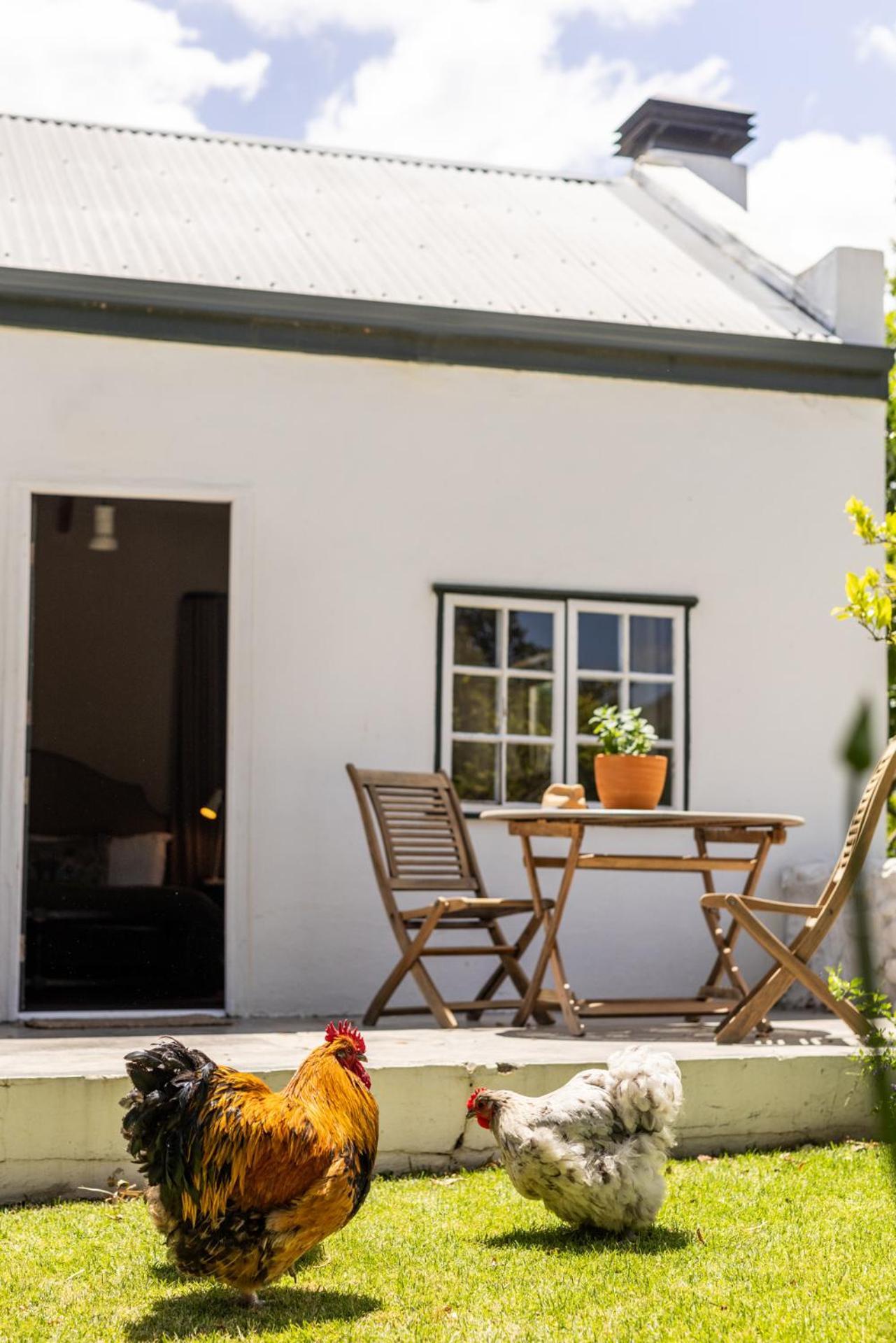 Apartamento Eikehof Farm Worcester Exterior foto